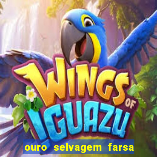 ouro selvagem farsa ouro selvagem o que aconteceu